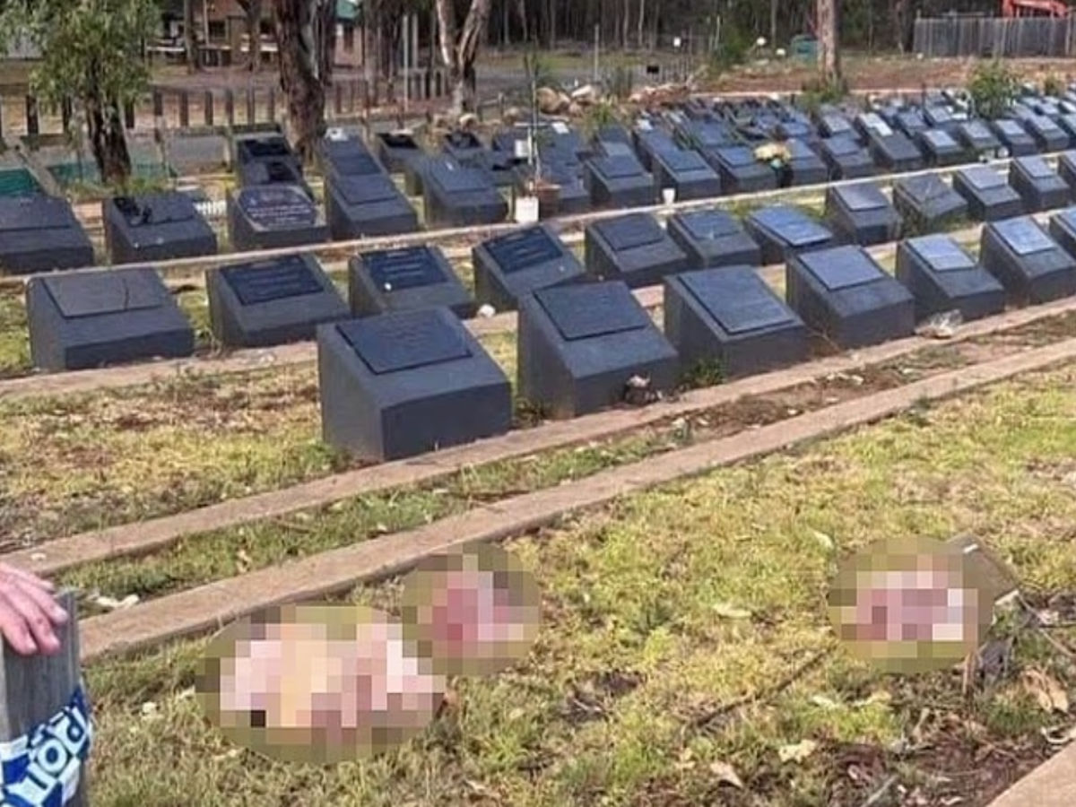 Mga ulo ng baboy, inilagay sa libingan ng mga Muslim sa Sydney matapos ang nakaraang insidente ng pag-atake sa Bondi Beach